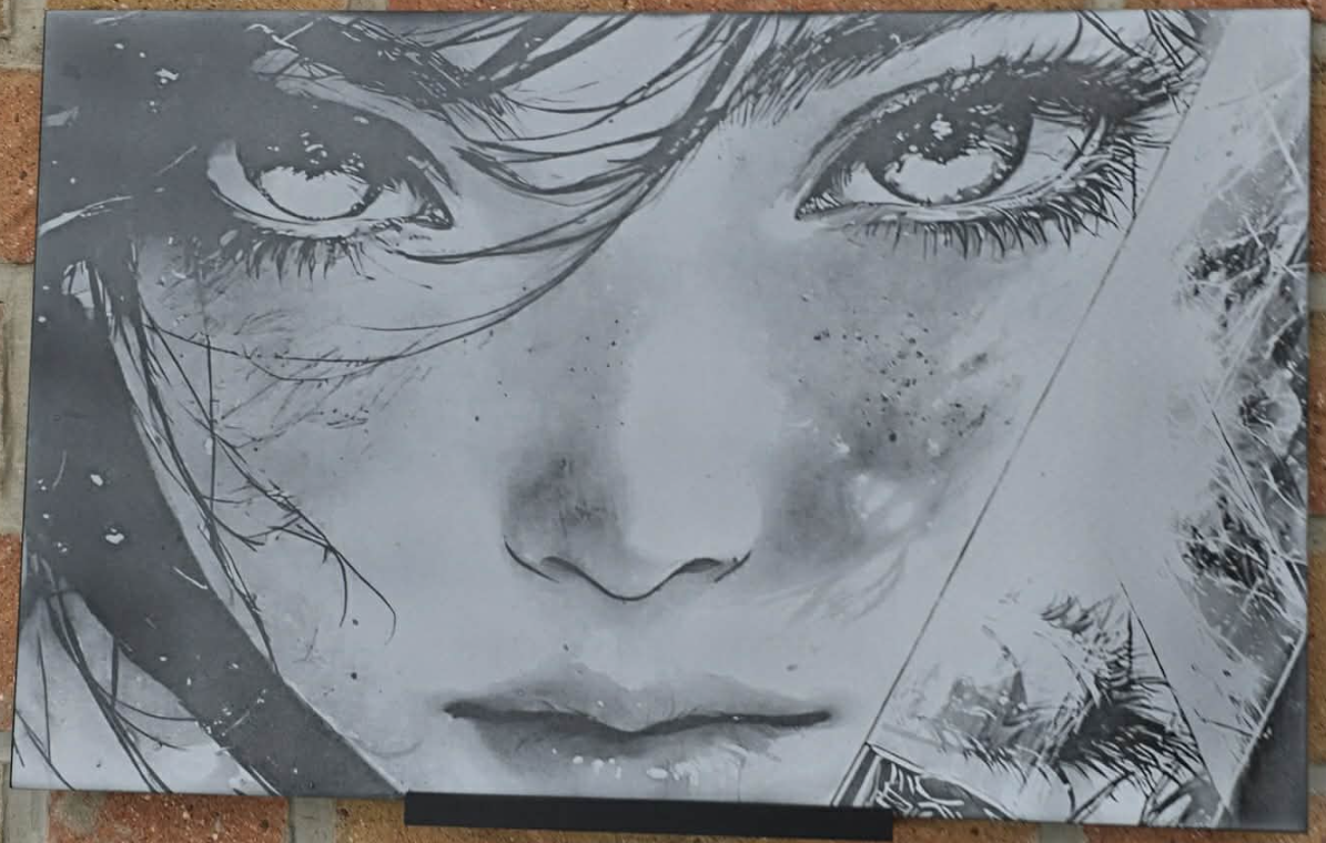 DithX Dav Cat 4 engraving